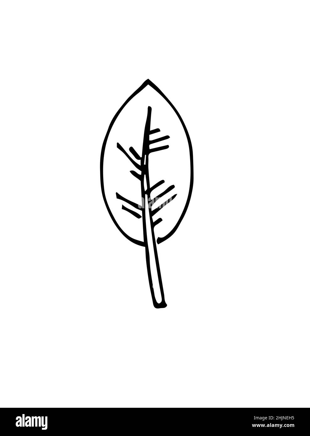 Foglia di albero. Disegno a mano del contorno. Schizzo isolato su sfondo bianco. Vettore Illustrazione Vettoriale