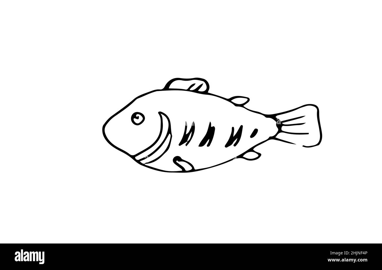Pesce selvatico. Carattere animale acquatico. Mondo subacqueo. Schizzo di contorno. Il disegno a mano è isolato su sfondo bianco. Vettore Illustrazione Vettoriale