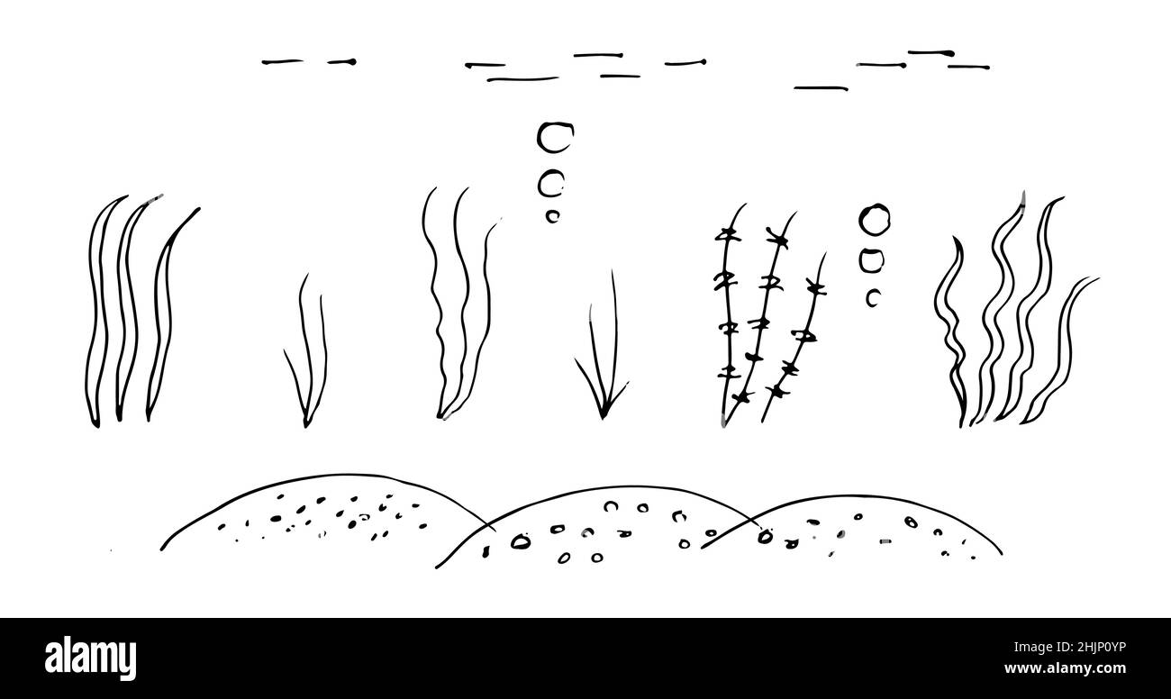 Set di oggetti del mondo subacqueo. Schizzo di contorno. Il disegno a mano è isolato su sfondo bianco. Vettore Illustrazione Vettoriale