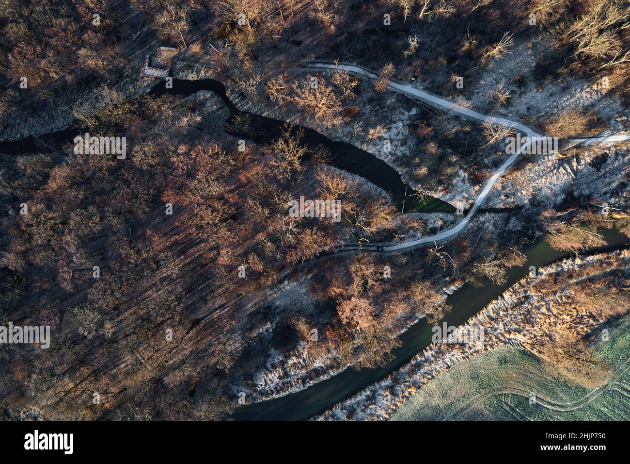 sfondo naturale astratto, alberi di foresta colorati e fiume, vista aerea Foto Stock