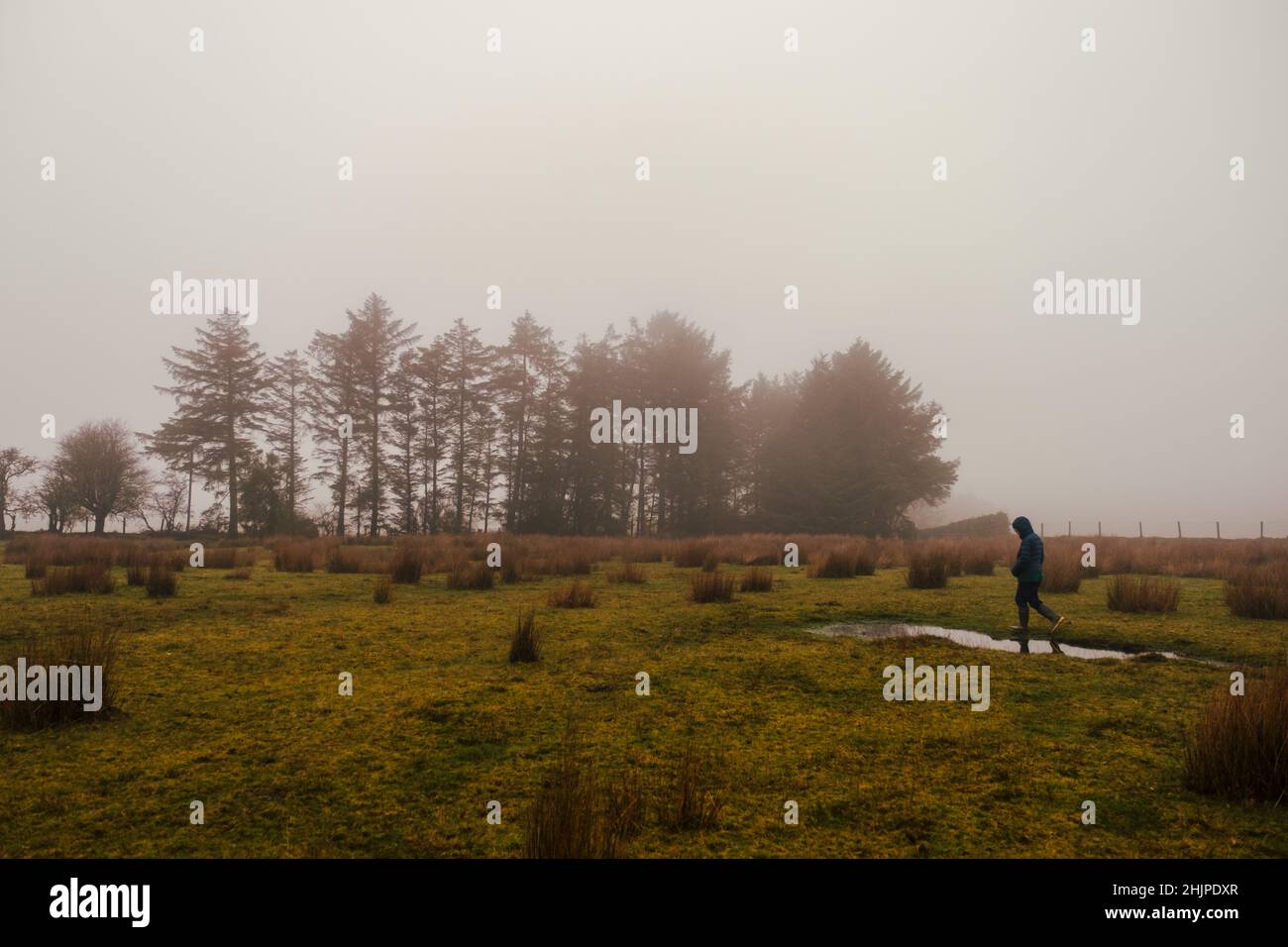 Un bambino che cammina da solo nella campagna gallese sotto la pioggia Foto Stock