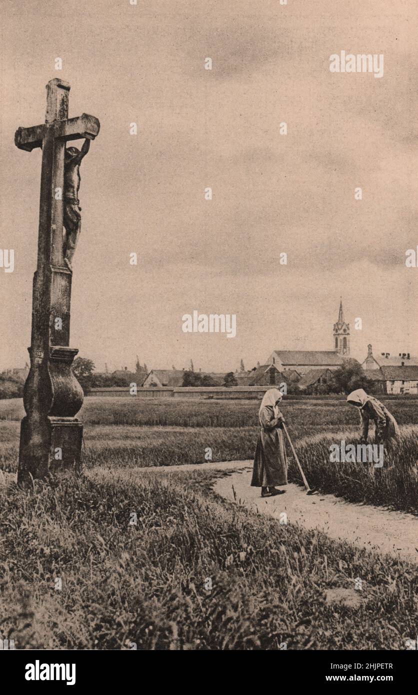 I contadini francesi, liberati dal giogo tedesco, lavorano con una volontà sui loro campi liberati, alcuni dei più fertili d'Europa. Alsazia-Lorena (1923) Foto Stock