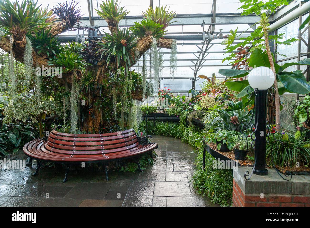 Inverness Botanic Gardens casa tropicale, Inverness, Scozia Foto Stock