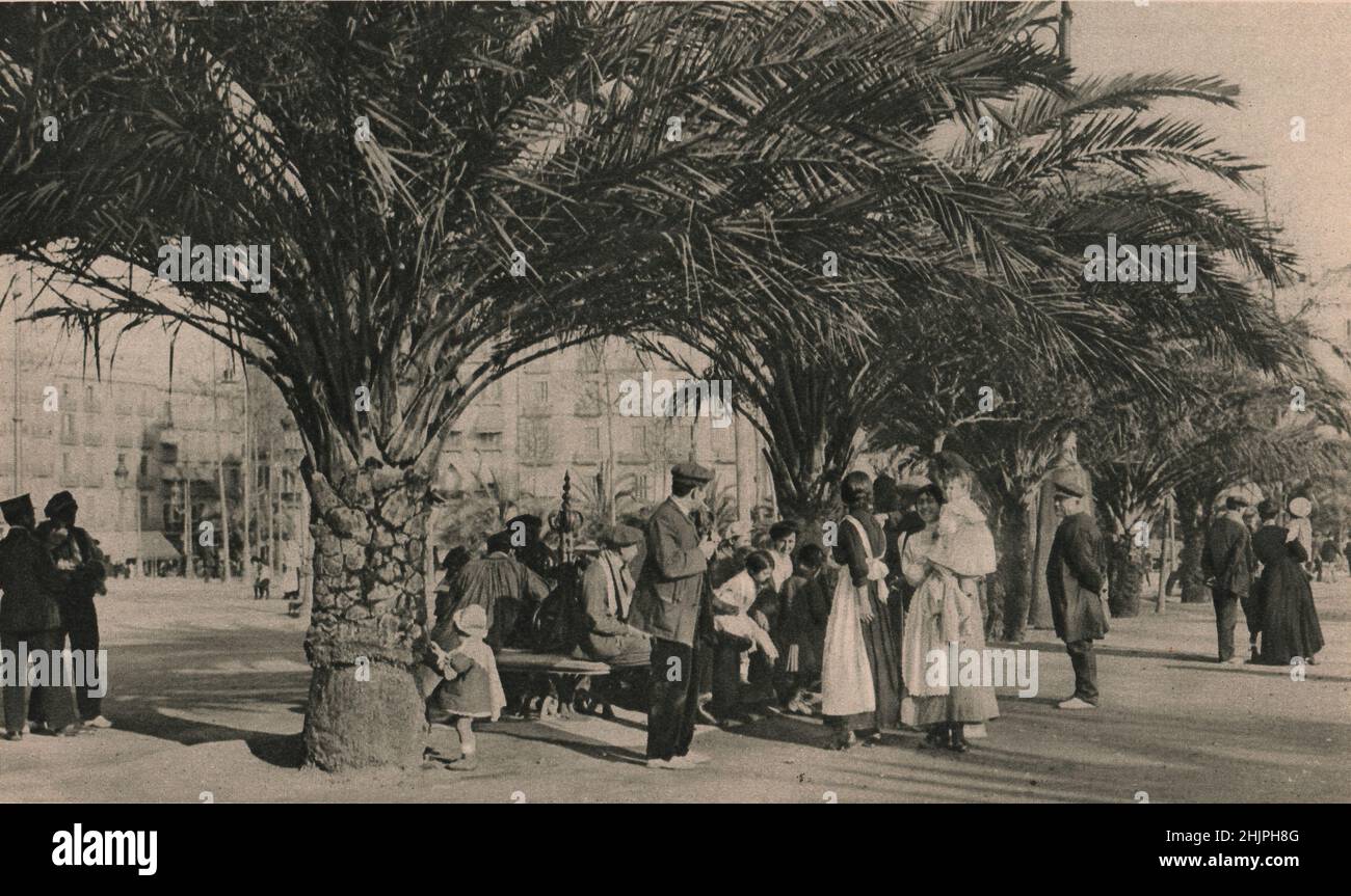Plaza de Cataluña. Si tratta di un magnifico spazio aperto piantato ovunque con palme e sempre pieno di animazione. Spagna. Barcellona (1923) Foto Stock