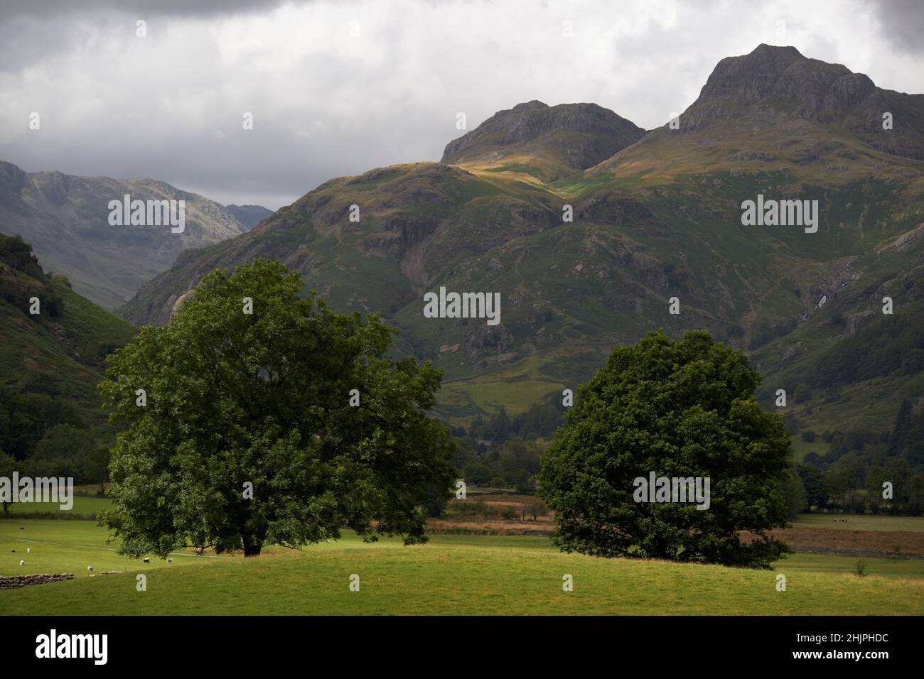 langdale valley, lake district, cumbria, inghilterra, regno unito Foto Stock
