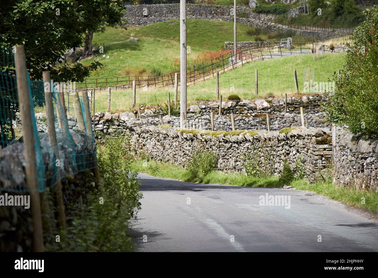 muro di pietra a secco fiancheggiato b5343 strada locale piccola stretta passando attraverso langdale valle, lake district, cumbria, inghilterra, regno unito Foto Stock