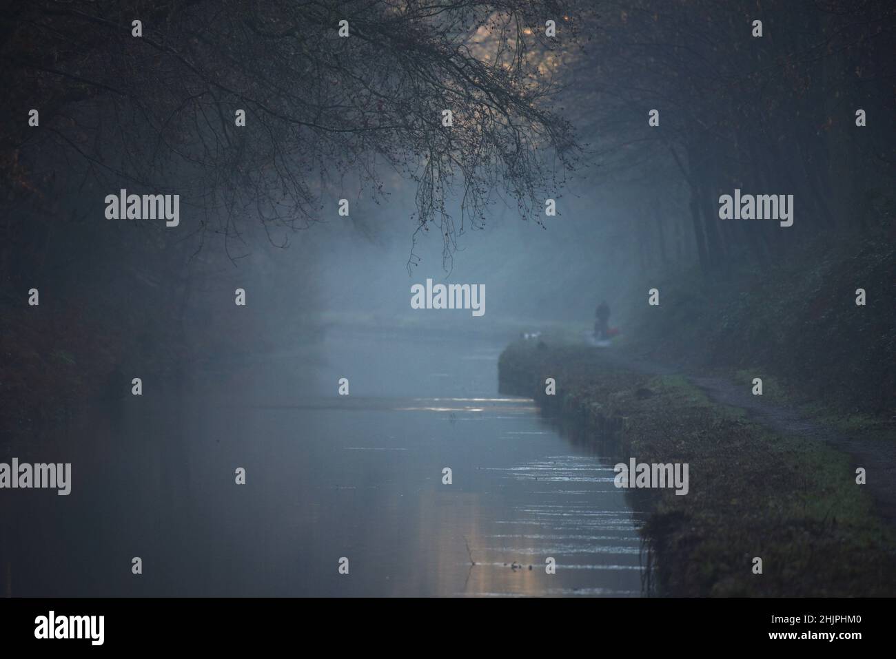 Una giornata invernale misteriosa lungo il bel canale di Basingstoke a Deepcut a Surrey Foto Stock