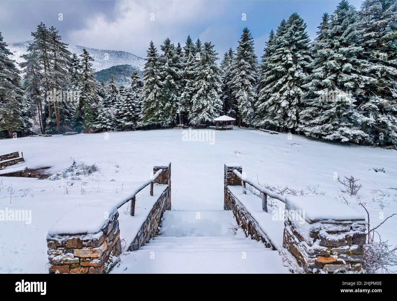 In un parco vicino al villaggio di Karya, comune di Elassona, Monte Olimpo, Larissa, Tessaglia, Grecia. Foto Stock