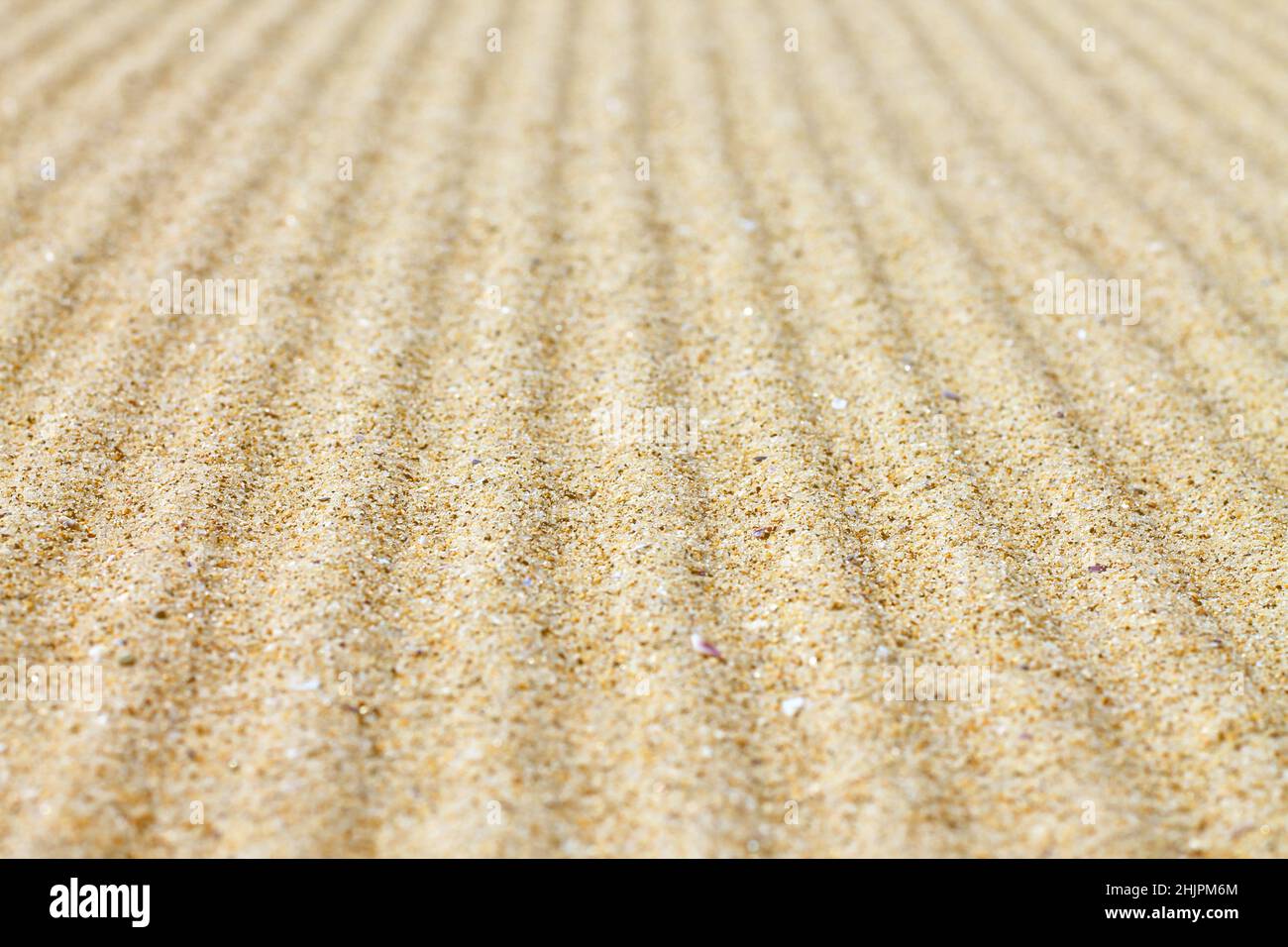 Trama di sabbia ondulata per lo sfondo. Foto Stock