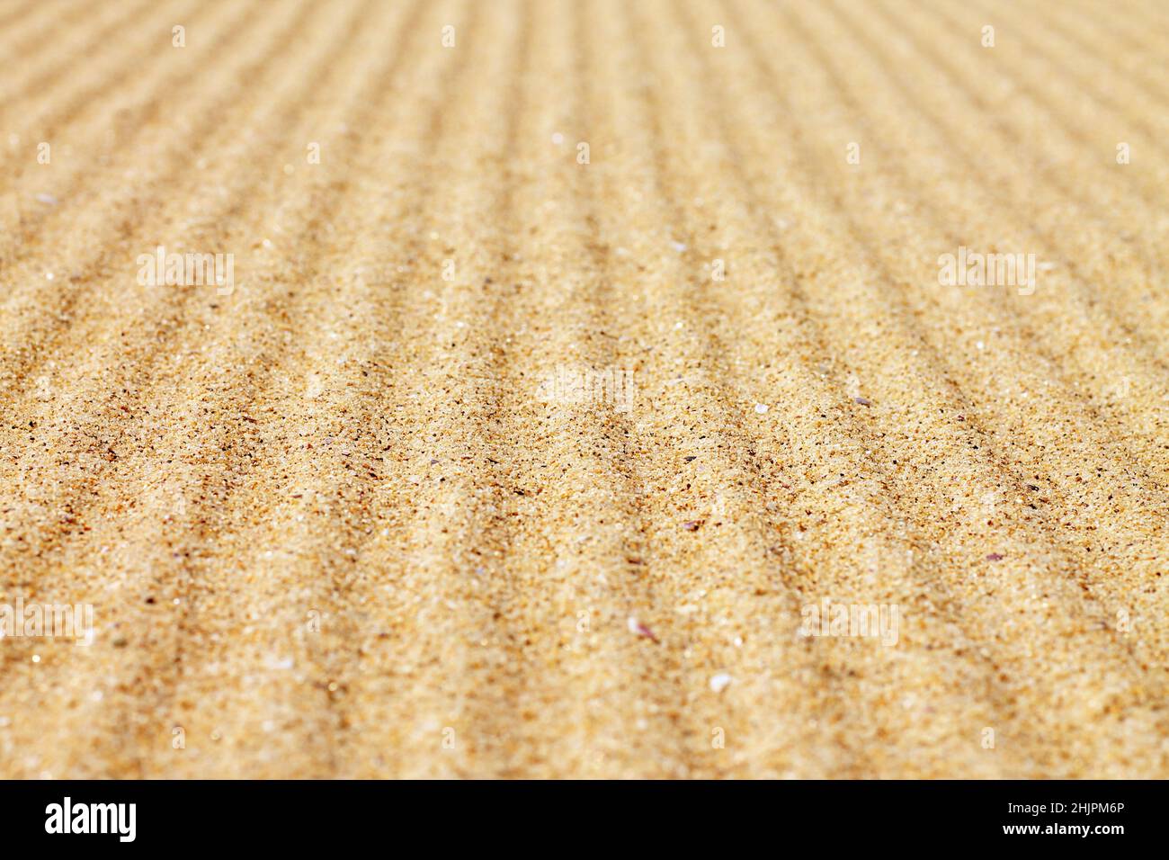 Trama di sabbia ondulata per lo sfondo. Foto Stock