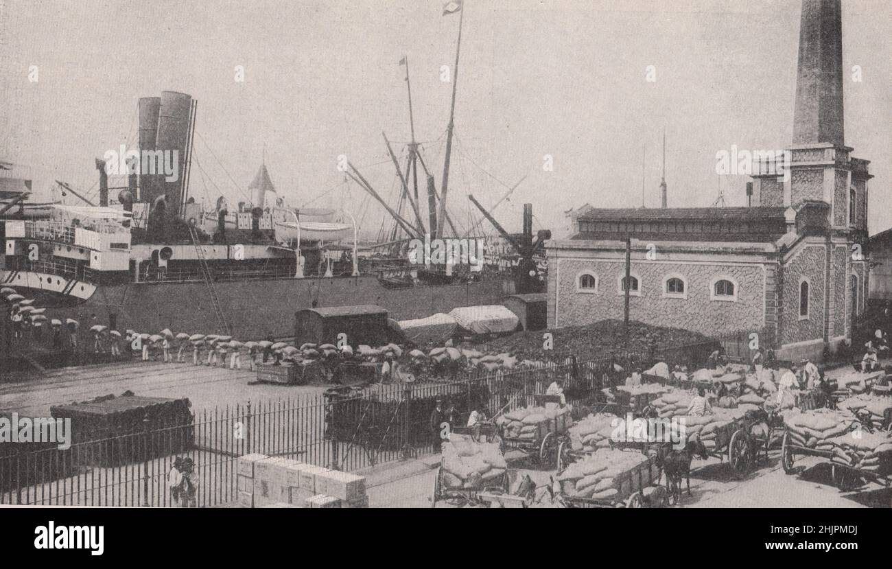 Spedizione dei prodotti delle piantagioni di caffè nello stato di Sao Paulo dal Quay di Santos. Brasile (1923) Foto Stock