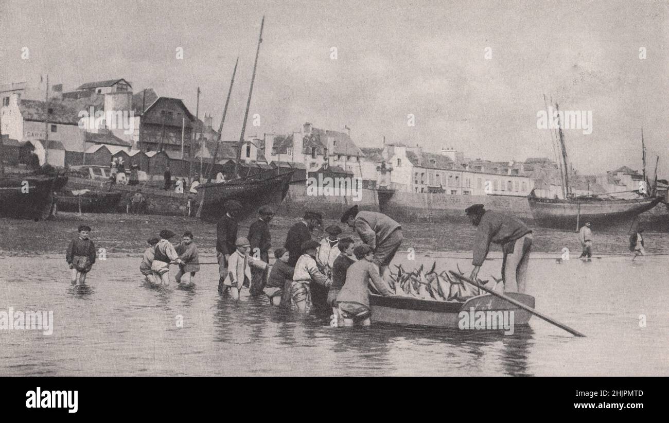 Portare una cattura di Tunny ashore da un sacco di pesca a Concarneau. Finistère. Bretagna (1923) Foto Stock