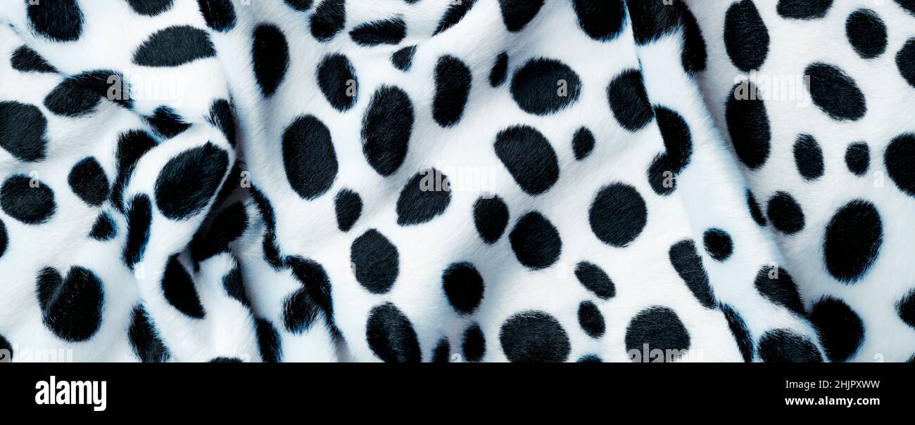 un tessuto drappeggiato di stampa animale bianco e nero da utilizzare come sfondo Foto Stock