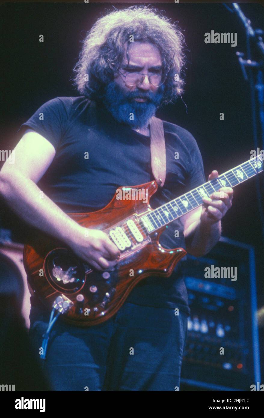 The Grateful Dead Performing in 1981 credito: Jeffrey Mayer / Rock negatives / MediaPunch Jerry Garcia Foto Stock
