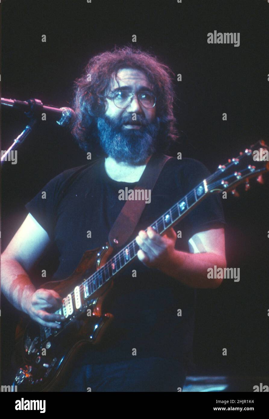 The Grateful Dead Performing in 1981 credito: Jeffrey Mayer / Rock negatives / MediaPunch Jerry Garcia Foto Stock