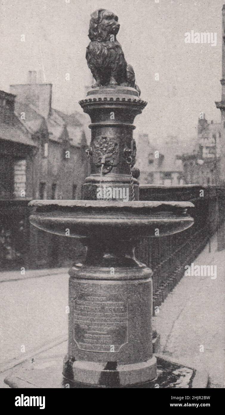 Statua di Edimburgo a un cane. Scozia (1923) Foto Stock