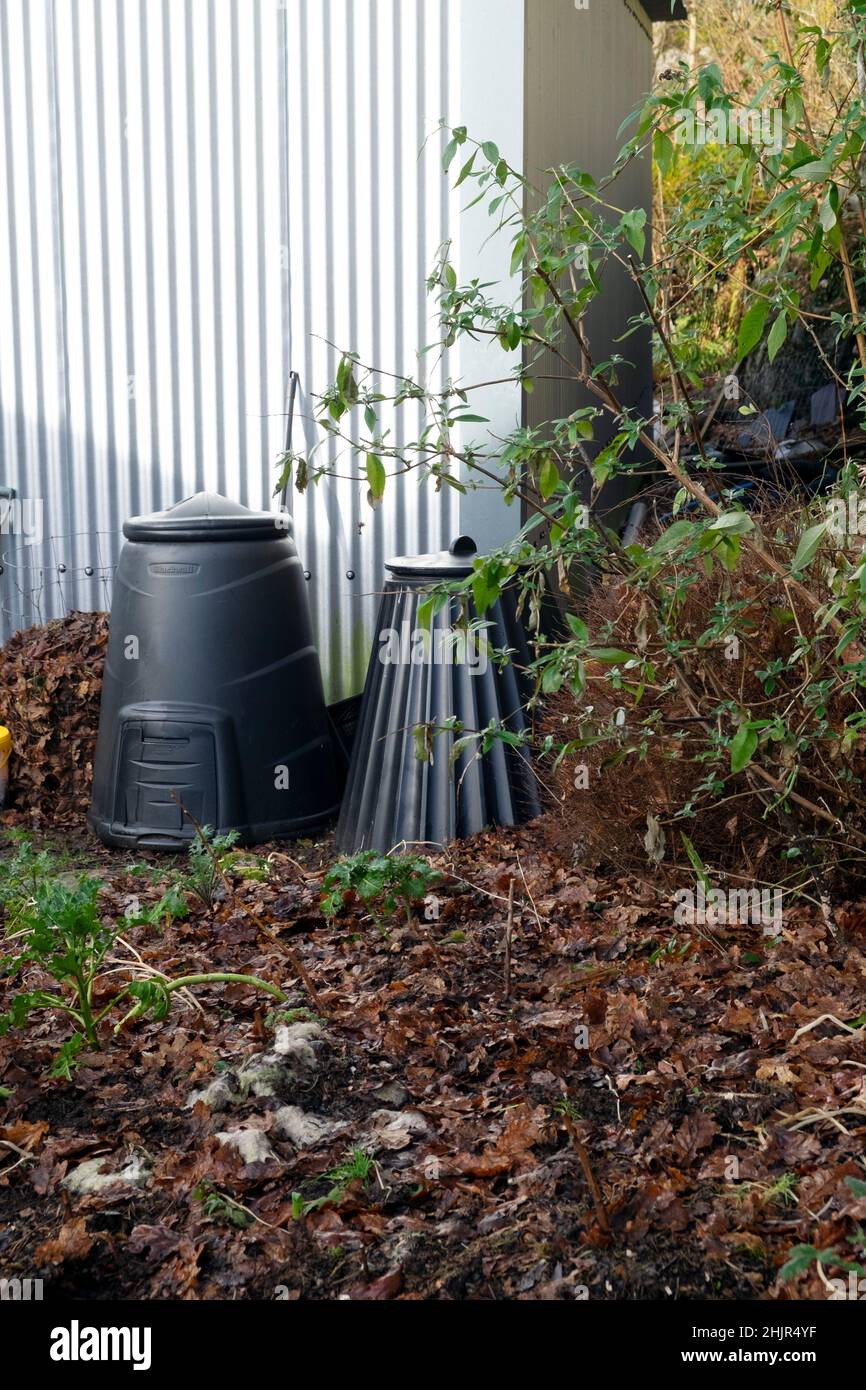 Bidoni di compost nero per il riciclaggio di cibo wast in un giardino d'inverno autunno da un muro corrugato fienile nel Carmarthenshshire Galles UK KATHY DEWITT Foto Stock