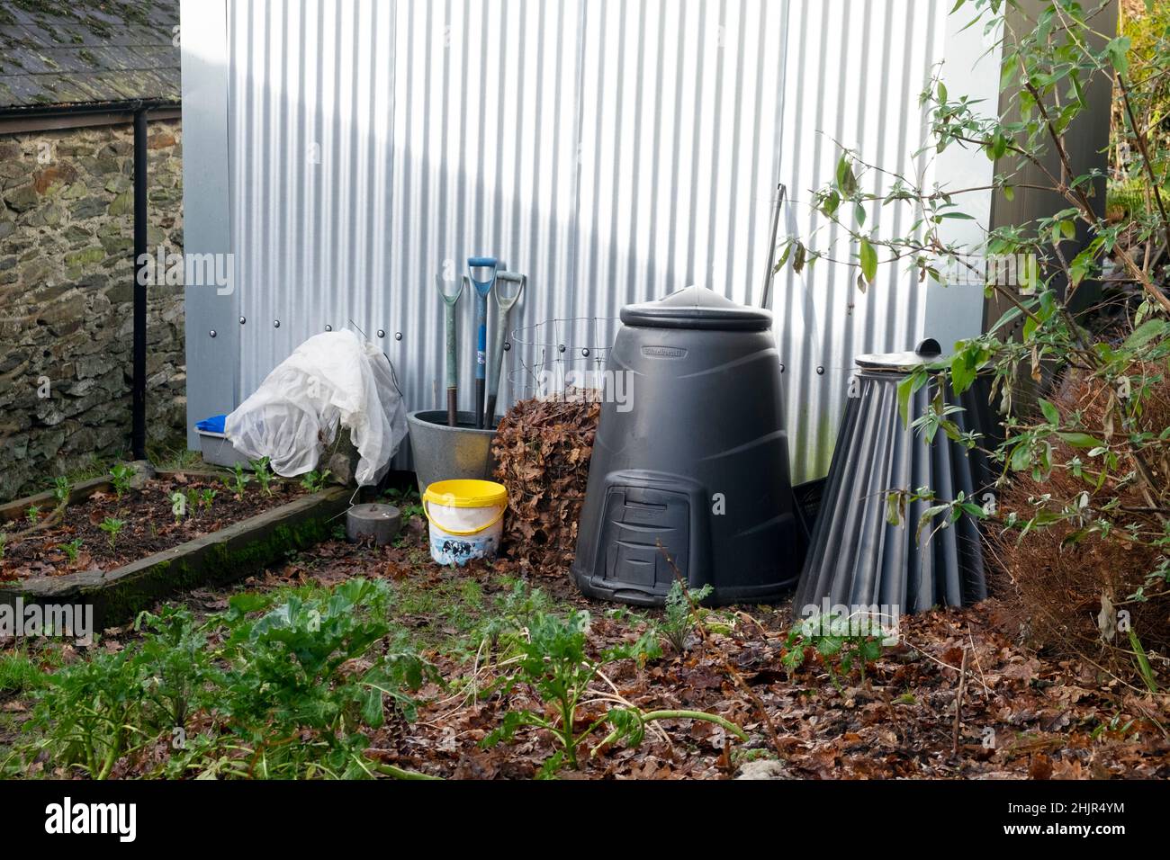 Bidoni di compost nero per il riciclaggio di cibo wast in un giardino d'inverno autunno da un muro corrugato fienile nel Carmarthenshshire Galles UK KATHY DEWITT Foto Stock