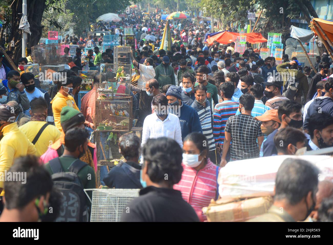 Kolkata, Bengala Occidentale, India. 30th Jan 2022. Folla massiccia in un mercato di animali domestici in mezzo covid-19 pandemic. wasÂ il più grande andÂ e il più antico mercato di animali domestici di Kolkata. Questo mercato per animali domestici, noto anche come ''Bagbazar Sokher Haat''. La città di Joy ospita il mercato degli animali domestici ogni domenica dalle prime ore del mattino al tardo pomeriggio. È stato scritto su carta per mantenere i protocolli di covid e di distanziamento sociale. Ma in qualche modo la maggior parte della gente lo ha dimenticato. Negli ultimi 24hours casi il numero totale di casi di convivenza è stato di 234.281 e 893 morti. (Credit Image: © Rahul Sadhukhan/Pacific Press via ZUMA Press Wire) Foto Stock