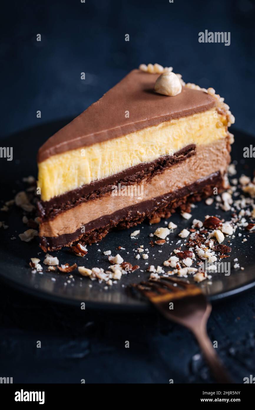 Torrone la vaniglia e la torta glassata al cioccolato in quattro strati con le nocciole sulla parte superiore e le nocciole sbriciolate intorno su uno sfondo scuro Foto Stock