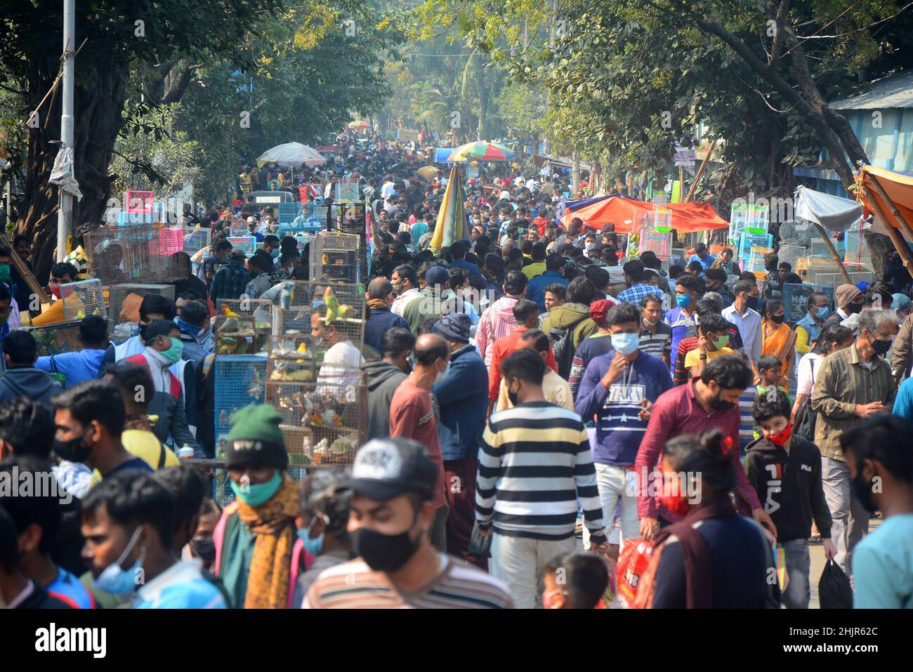 Kolkata, Bengala Occidentale, India. 30th Jan 2022. Folla massiccia in un mercato di animali domestici in mezzo covid-19 pandemic. wasÂ il più grande andÂ e il più antico mercato di animali domestici di Kolkata. Questo mercato per animali domestici, noto anche come ''Bagbazar Sokher Haat''. La città di Joy ospita il mercato degli animali domestici ogni domenica dalle prime ore del mattino al tardo pomeriggio. È stato scritto su carta per mantenere i protocolli di covid e di distanziamento sociale. Ma in qualche modo la maggior parte della gente lo ha dimenticato. Negli ultimi 24hours casi il numero totale di casi di convivenza è stato di 234.281 e 893 morti. (Credit Image: © Rahul Sadhukhan/Pacific Press via ZUMA Press Wire) Foto Stock