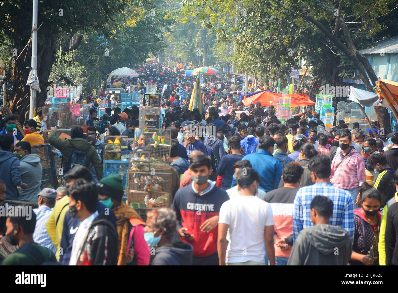 Kolkata, Bengala Occidentale, India. 30th Jan 2022. Folla massiccia in un mercato di animali domestici in mezzo covid-19 pandemic. wasÂ il più grande andÂ e il più antico mercato di animali domestici di Kolkata. Questo mercato per animali domestici, noto anche come ''Bagbazar Sokher Haat''. La città di Joy ospita il mercato degli animali domestici ogni domenica dalle prime ore del mattino al tardo pomeriggio. È stato scritto su carta per mantenere i protocolli di covid e di distanziamento sociale. Ma in qualche modo la maggior parte della gente lo ha dimenticato. Negli ultimi 24hours casi il numero totale di casi di convivenza è stato di 234.281 e 893 morti. (Credit Image: © Rahul Sadhukhan/Pacific Press via ZUMA Press Wire) Foto Stock