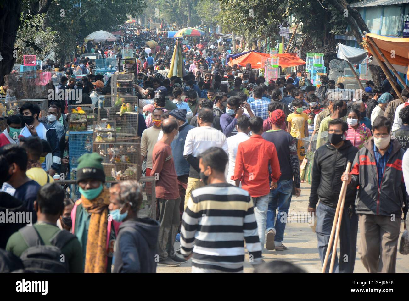 Kolkata, Bengala Occidentale, India. 30th Jan 2022. Folla massiccia in un mercato di animali domestici in mezzo covid-19 pandemic. wasÂ il più grande andÂ e il più antico mercato di animali domestici di Kolkata. Questo mercato per animali domestici, noto anche come ''Bagbazar Sokher Haat''. La città di Joy ospita il mercato degli animali domestici ogni domenica dalle prime ore del mattino al tardo pomeriggio. È stato scritto su carta per mantenere i protocolli di covid e di distanziamento sociale. Ma in qualche modo la maggior parte della gente lo ha dimenticato. Negli ultimi 24hours casi il numero totale di casi di convivenza è stato di 234.281 e 893 morti. (Credit Image: © Rahul Sadhukhan/Pacific Press via ZUMA Press Wire) Foto Stock
