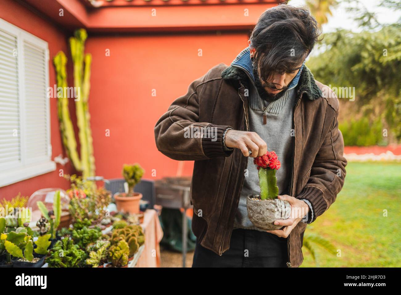 giardiniere che controlla lo stato e la crescita dei figli di un cactus Foto Stock