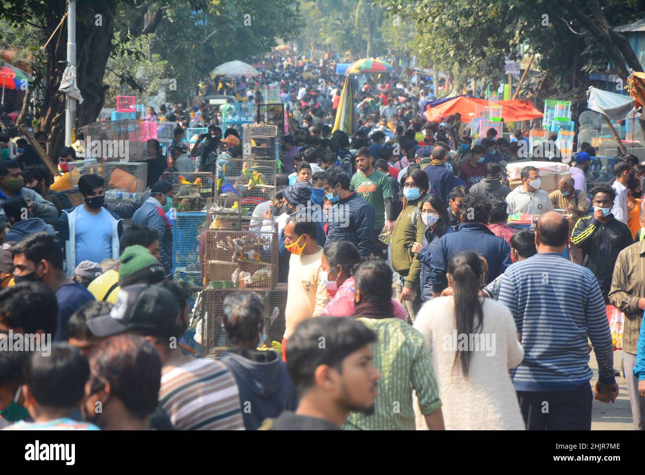Kolkata, Bengala Occidentale, India. 30th Jan 2022. Folla massiccia in un mercato di animali domestici in mezzo covid-19 pandemic. wasÂ il più grande andÂ e il più antico mercato di animali domestici di Kolkata. Questo mercato per animali domestici, noto anche come ''Bagbazar Sokher Haat''. La città di Joy ospita il mercato degli animali domestici ogni domenica dalle prime ore del mattino al tardo pomeriggio. È stato scritto su carta per mantenere i protocolli di covid e di distanziamento sociale. Ma in qualche modo la maggior parte della gente lo ha dimenticato. Negli ultimi 24hours casi il numero totale di casi di convivenza è stato di 234.281 e 893 morti. (Credit Image: © Rahul Sadhukhan/Pacific Press via ZUMA Press Wire) Foto Stock