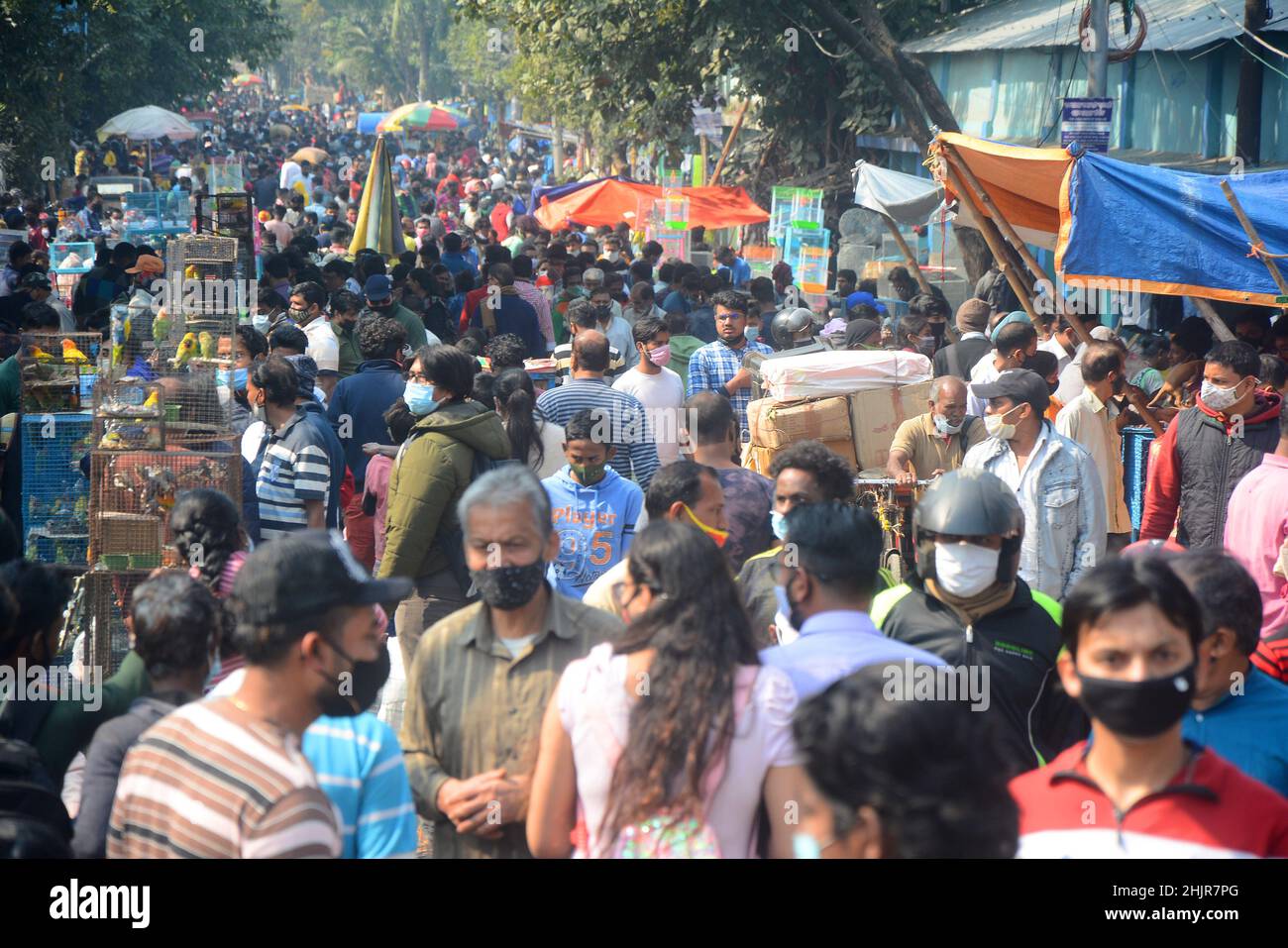 Kolkata, Bengala Occidentale, India. 30th Jan 2022. Folla massiccia in un mercato di animali domestici in mezzo covid-19 pandemic. wasÂ il più grande andÂ e il più antico mercato di animali domestici di Kolkata. Questo mercato per animali domestici, noto anche come ''Bagbazar Sokher Haat''. La città di Joy ospita il mercato degli animali domestici ogni domenica dalle prime ore del mattino al tardo pomeriggio. È stato scritto su carta per mantenere i protocolli di covid e di distanziamento sociale. Ma in qualche modo la maggior parte della gente lo ha dimenticato. Negli ultimi 24hours casi il numero totale di casi di convivenza è stato di 234.281 e 893 morti. (Credit Image: © Rahul Sadhukhan/Pacific Press via ZUMA Press Wire) Foto Stock