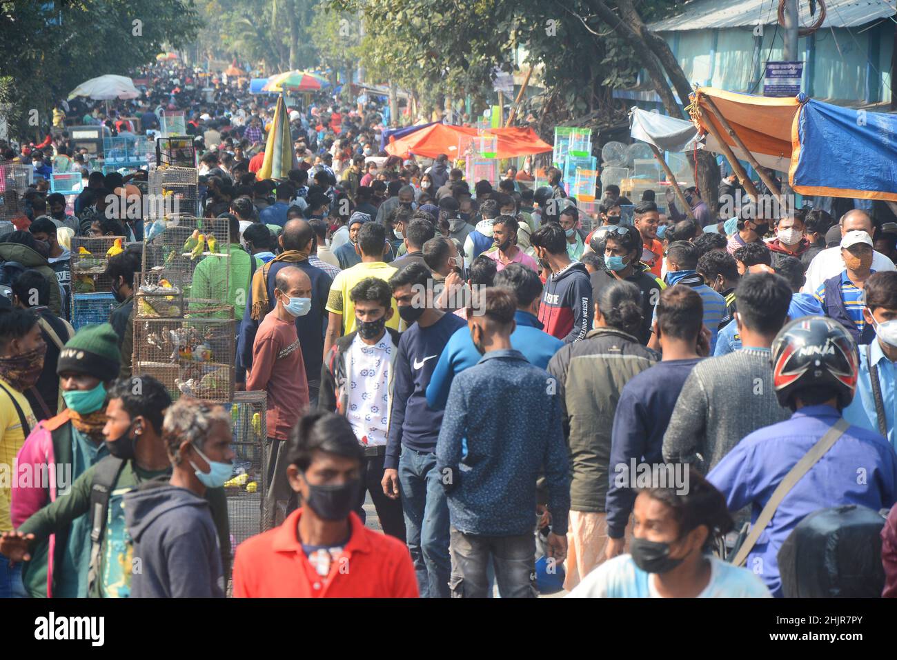 Kolkata, Bengala Occidentale, India. 30th Jan 2022. Folla massiccia in un mercato di animali domestici in mezzo covid-19 pandemic. wasÂ il più grande andÂ e il più antico mercato di animali domestici di Kolkata. Questo mercato per animali domestici, noto anche come ''Bagbazar Sokher Haat''. La città di Joy ospita il mercato degli animali domestici ogni domenica dalle prime ore del mattino al tardo pomeriggio. È stato scritto su carta per mantenere i protocolli di covid e di distanziamento sociale. Ma in qualche modo la maggior parte della gente lo ha dimenticato. Negli ultimi 24hours casi il numero totale di casi di convivenza è stato di 234.281 e 893 morti. (Credit Image: © Rahul Sadhukhan/Pacific Press via ZUMA Press Wire) Foto Stock