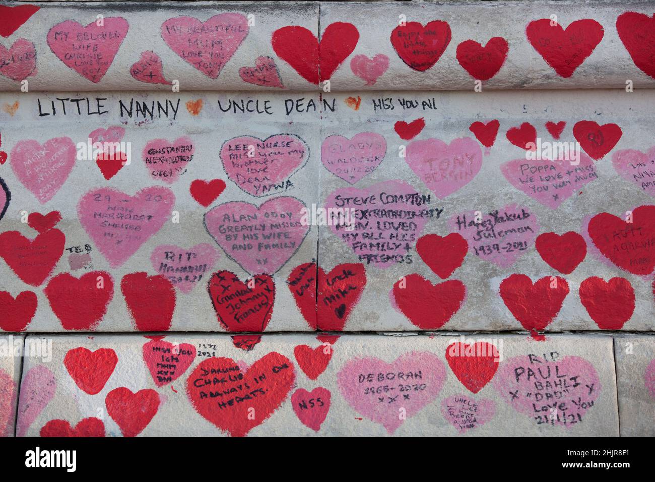 Londra, UK, 31 gennaio 2022: Il National Covid Memorial Wall, sulla riva sud del Tamigi, in cui ogni persona che è morta nella pandemia è rappresentata da un cuore rosso, è un sito importante per le famiglie che hanno perso i propri cari. Il memoriale si trova proprio di fronte alle Camere del Parlamento, dove il primo ministro Boris Johnson sta parlando questo pomeriggio circa i risultati della relazione elaborata dal funzionario sue Gray circa le violazioni delle leggi di blocco a 10 Downing Street durante la pandemia di coronavirus. Anna Watson/Alamy Live News Foto Stock