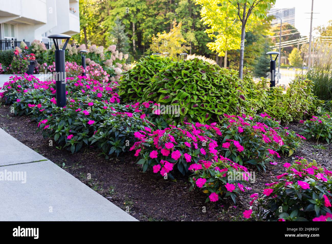 Belle piante e fiori vicino casa residenziale a Ottawa, Canada in estate . Paesaggio vicino condominio in una giornata di sole Foto Stock