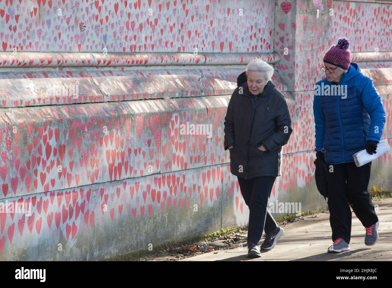 Londra, UK, 31 gennaio 2022: Il National Covid Memorial Wall, sulla riva sud del Tamigi, in cui ogni persona che è morta nella pandemia è rappresentata da un cuore rosso, è un sito importante per le famiglie che hanno perso i propri cari. Il memoriale si trova proprio di fronte alle Camere del Parlamento, dove il primo ministro Boris Johnson sta parlando questo pomeriggio circa i risultati della relazione elaborata dal funzionario sue Gray circa le violazioni delle leggi di blocco a 10 Downing Street durante la pandemia di coronavirus. Anna Watson/Alamy Live News Foto Stock
