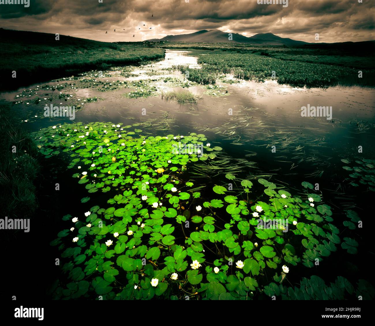 GB - Scozia: Loch Chairnain su South Uist mostra Mt. Hecla e Ben Corodale Foto Stock