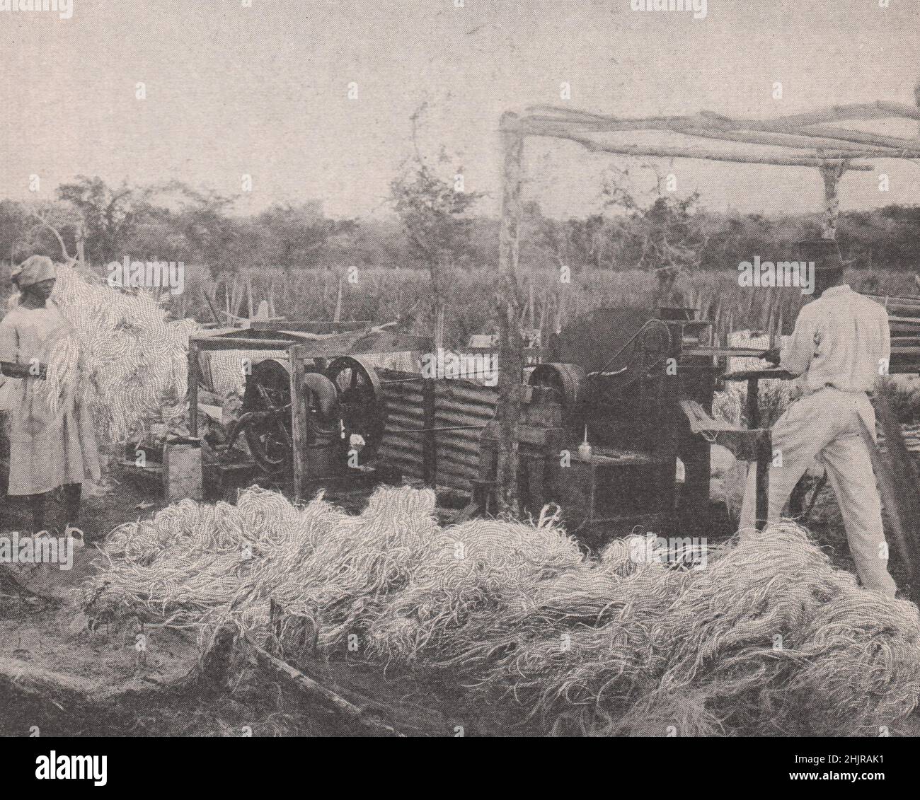 Macchina sisal portatile che trasforma le foglie in corda ribre. Giamaica (1923) Foto Stock