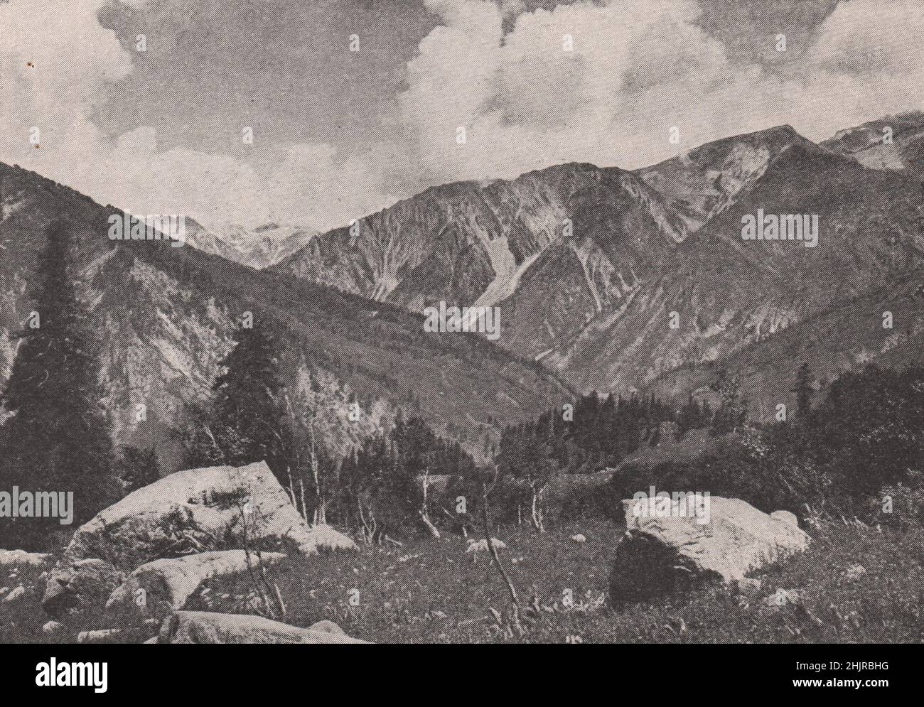 Fianchi ricoperti di alberi di montagne stupende vicino a Sonamang. India (1923) Foto Stock