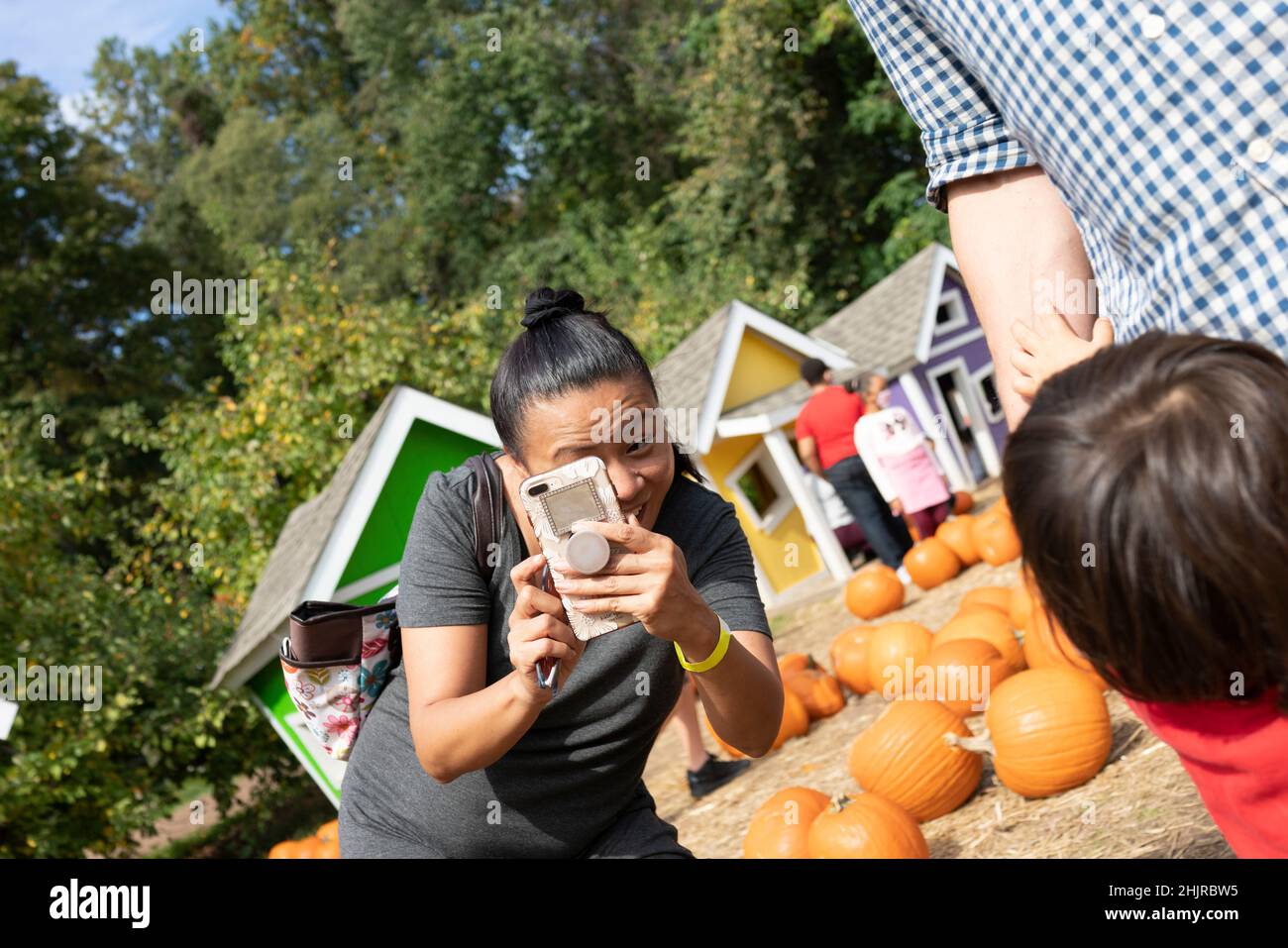 famiglia di zucca autunnale Foto Stock