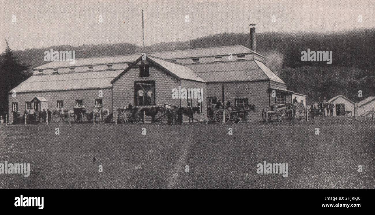 Gli agricoltori con il loro latte presso la fabbrica di burro di distretto. Nuova Zelanda (1923) Foto Stock