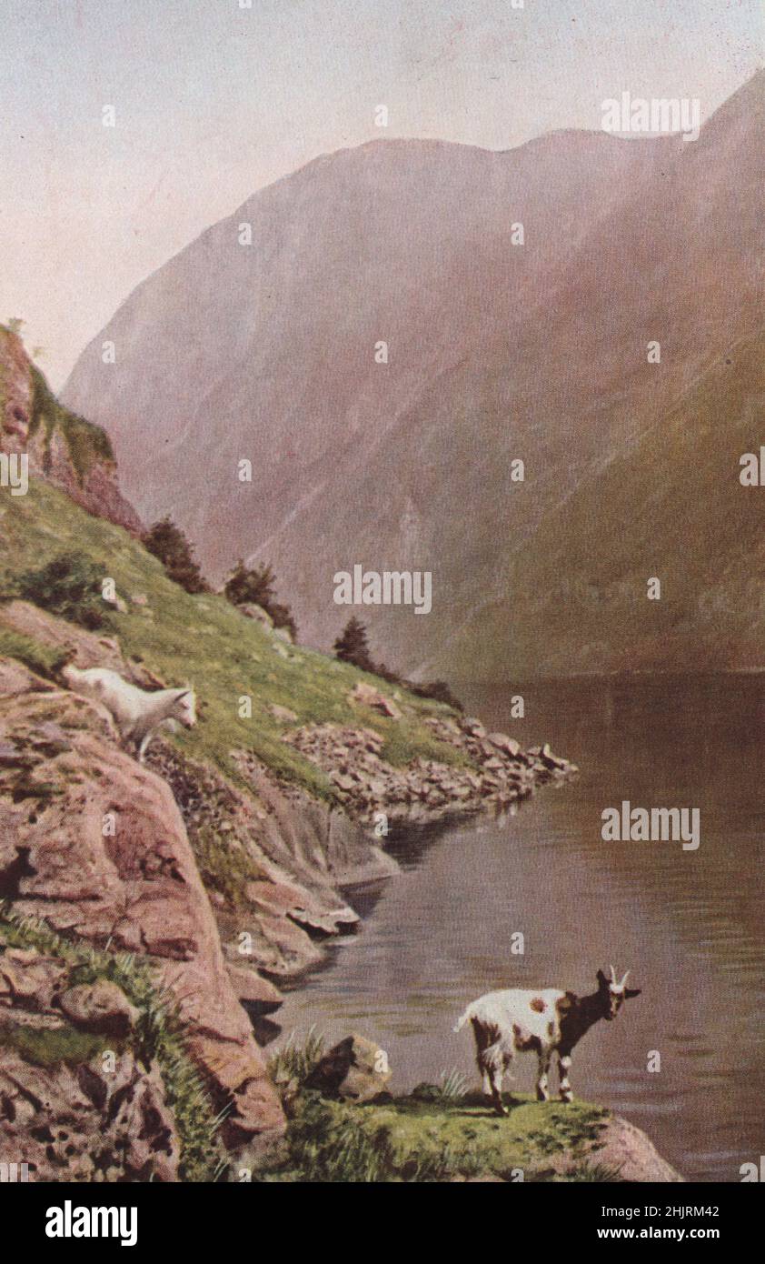 Scogliere dall'aspetto gremito che offrono ai piedi solo le capre agili gettano un'ombra profonda attraverso la solitaria Naeröfjord. Norvegia (1923) Foto Stock