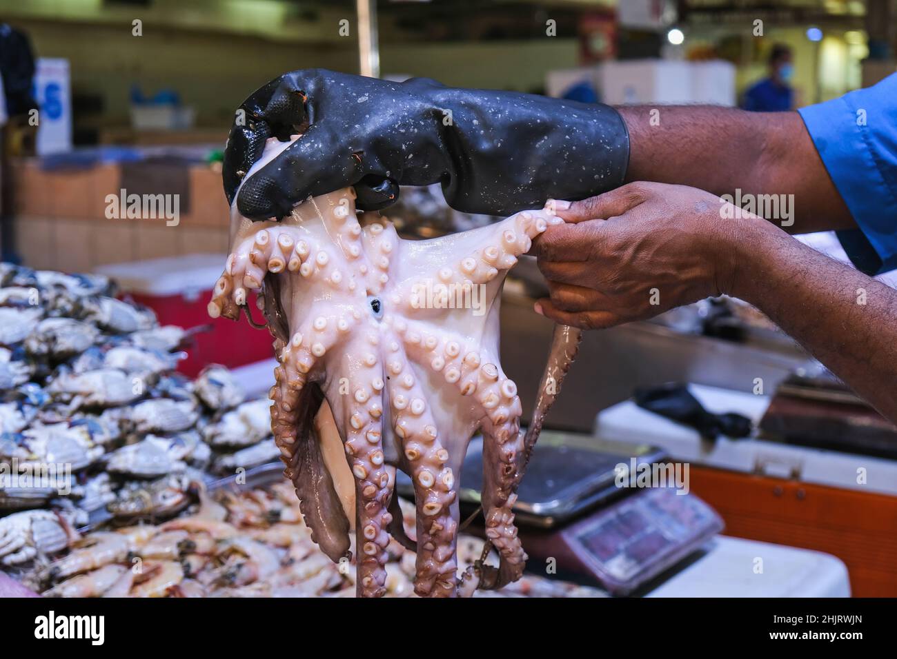 Fuoco selettivo nelle mani del pescatore medio-orientale che tiene un octopus fresco delates per la vendita sul mercato del pesce Foto Stock