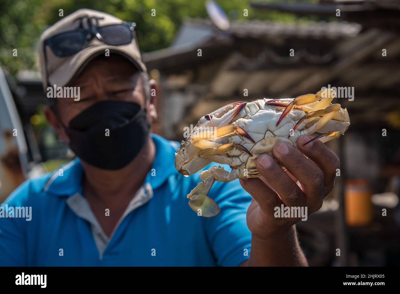 Rayong, Tailandia. 31st Jan 2022. Il pescatore locale mostra un granchio prima di smistare alla spiaggia di Mae Ramphueng in Rayong.A perdita da un oleodotto sottomarino 20km (12,4 miglia) al largo della costa orientale della Thailandia a Mae Ramphueng spiaggia nella provincia di Rayong, Thailandia che si teme di influenzare negativamente le industrie locali della pesca e del pesce a causa della contaminazione pericolosa da fuoriuscite di petrolio. Credit: SOPA Images Limited/Alamy Live News Foto Stock