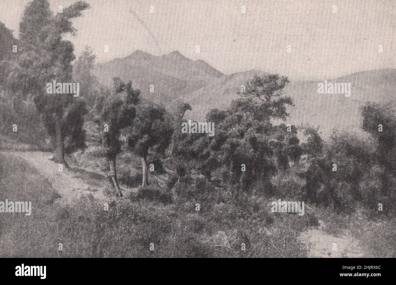 Monti Del Gennargentu Immagini e Fotos Stock - Alamy