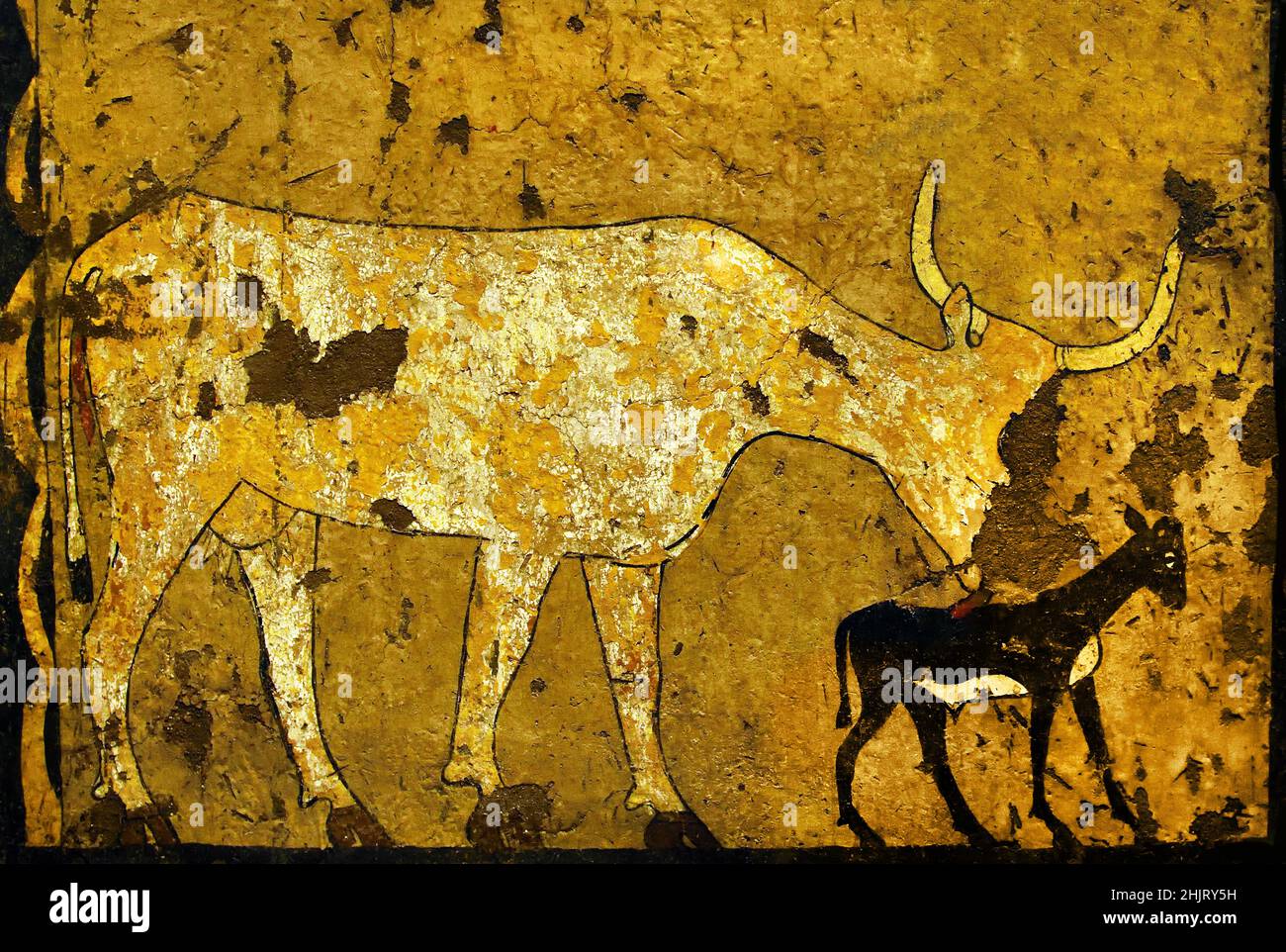 Il vitello e la sua madre, Cow lecca un vitello neonato, Egitto pittura di Tempera, primo periodo intermedio, Gebelein, Tomba di Iti e Neferu ( 2118-1980 a.C. ) Egitto (Museo Egizio di Torino Italia) Foto Stock