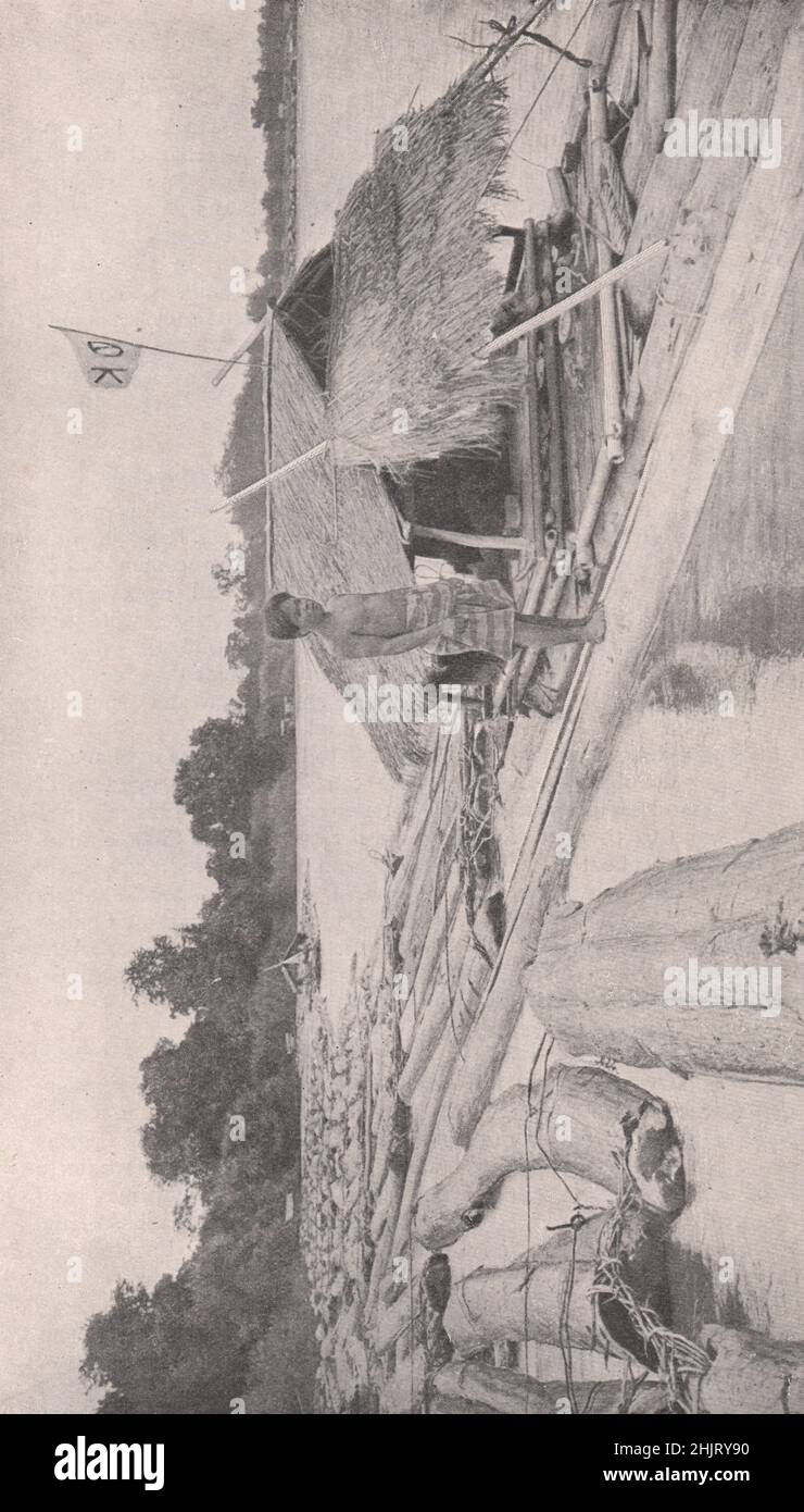 Zattere di tronchi di teak sul fiume Menam, lungo il tragitto per i mulini a legname di Bangkok. Thailandia. Siam (1923) Foto Stock