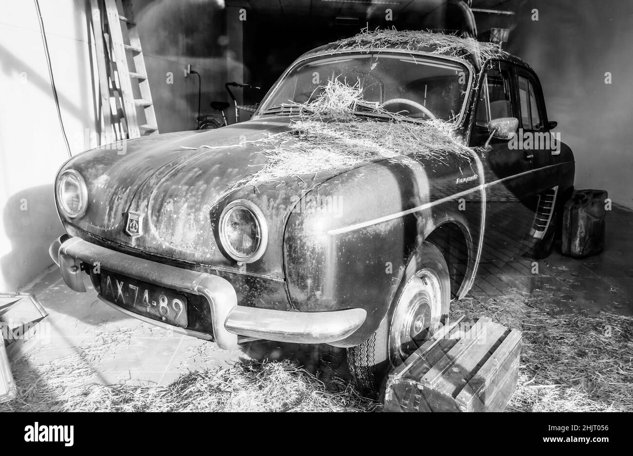 Barn trovare 1959 Renault Dauphine in uno showroom Foto Stock