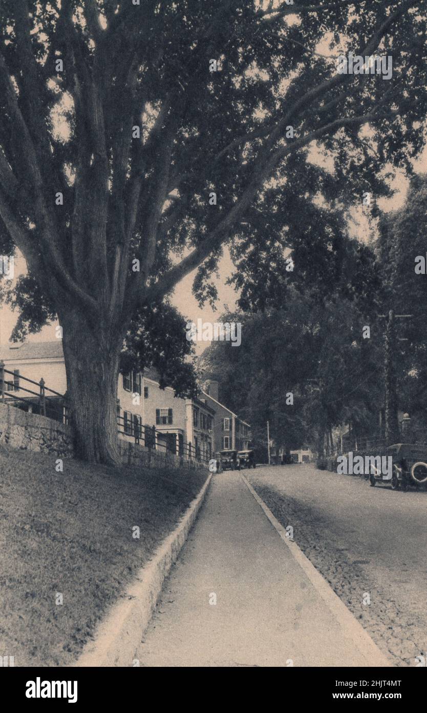 Leyden Street, a Plymouth, Mass., fu steso dai Padri Pellegrini che sbarcarono qui dal Mayflower nel 1620. Massachusetts. Stati Uniti (1923) Foto Stock