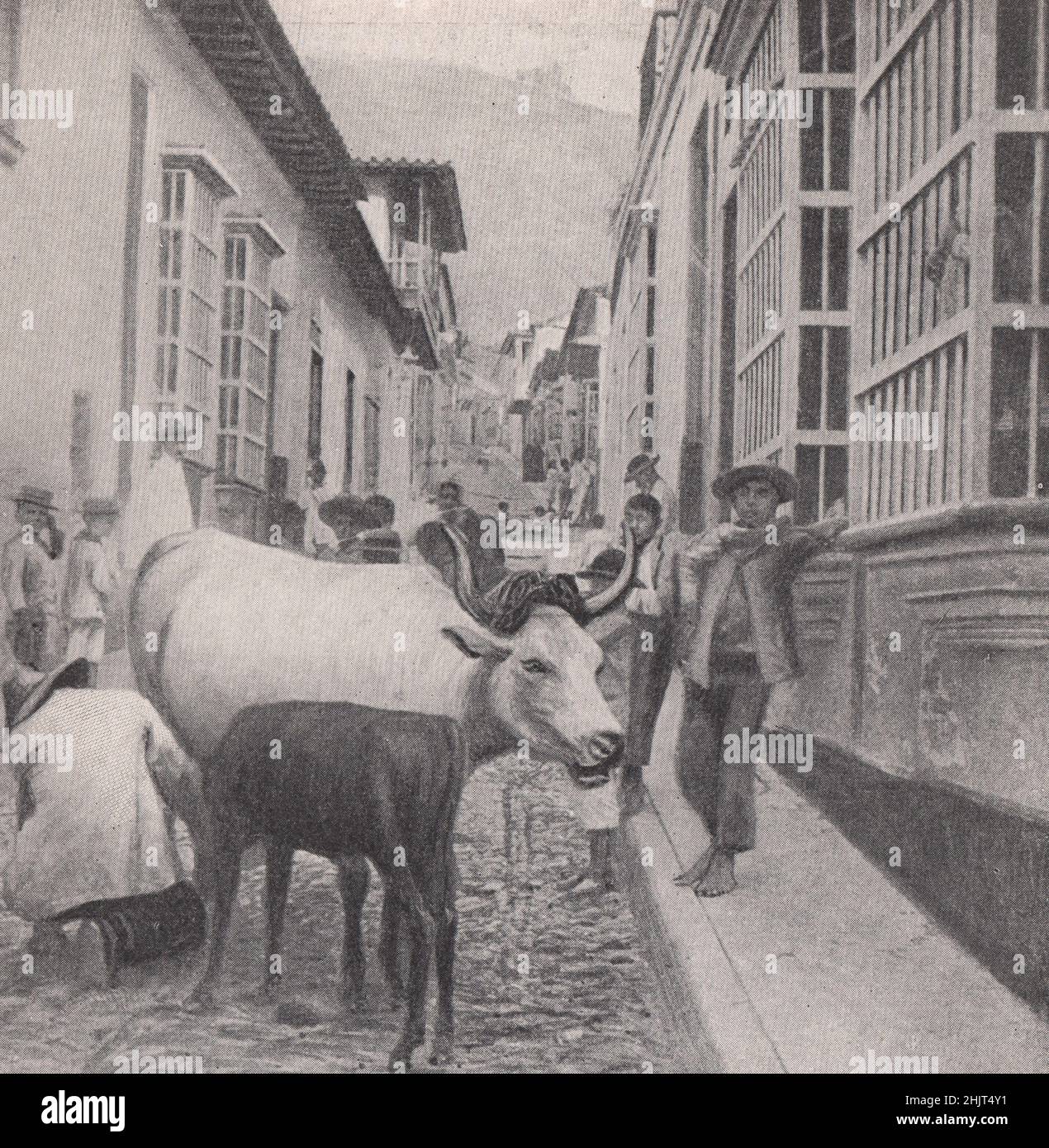 Milkman si affila il suo commercio in una strada di la Guayra. Venezuela (1923) Foto Stock