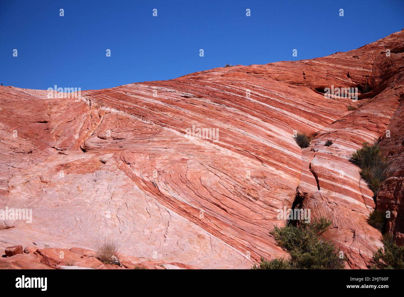 Linee diagonali disegnate dall'erosione sulle rocce rosse della Valle del fuoco in Nevada Foto Stock