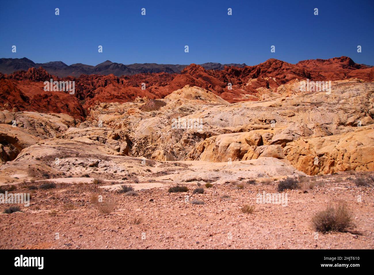 Il deserto arido, le rocce rosa, i massi rossi e le montagne marroni sotto un cielo blu chiaro Foto Stock